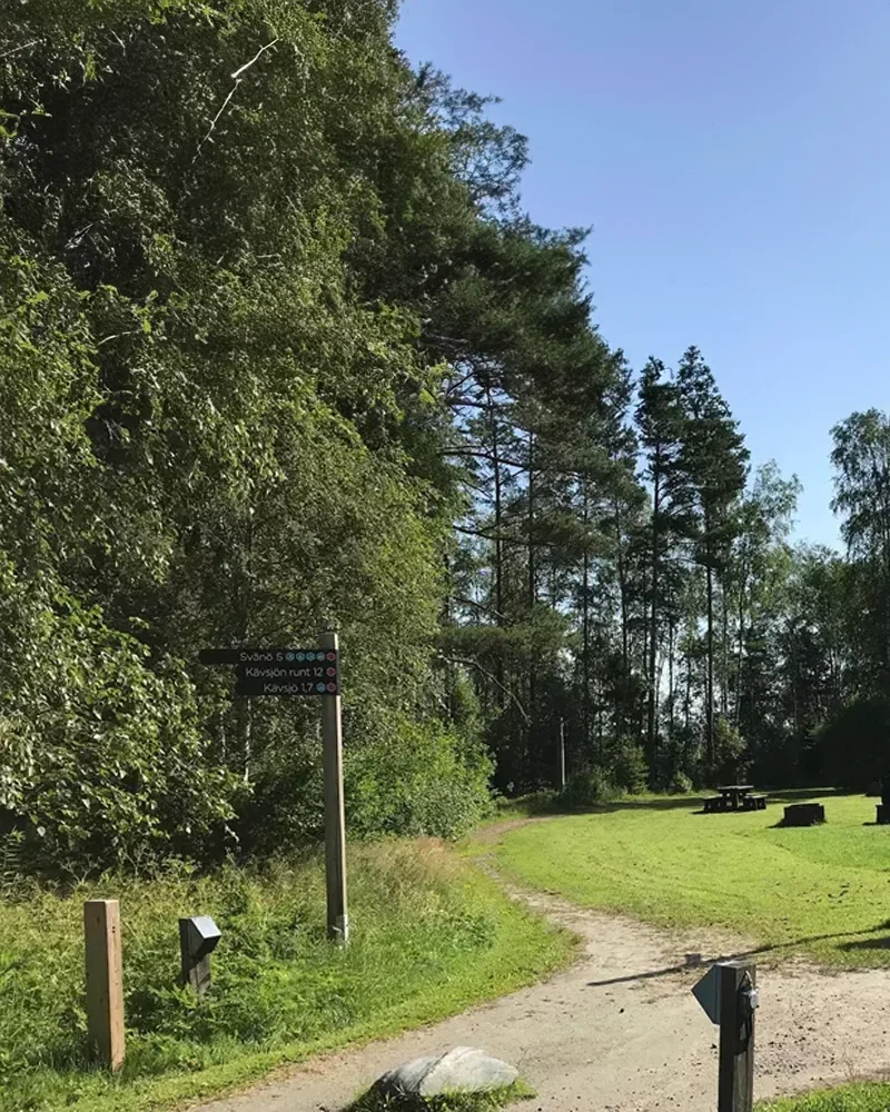 Skyltar vid en stig som visar riktningar för vandringsleder, omgiven av tät grönska. Till vänster syns en grusväg som leder mot en öppen gräsyta med picknickbord och stenar. Himlen är klar blå och träden i bakgrunden är höga.
