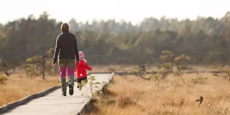 En vuxen person och ett barn går tillsammans på en träbro genom ett öppet myrområde. Vuxna har på sig mörka kläder och barnets jacka är röd med en stjärna. Området runt dem är präglat av högt gräs och små träd, med en mjuk, suddig bakgrund av skog. Ljuset är mjukt och ger en lugn atmosfär.